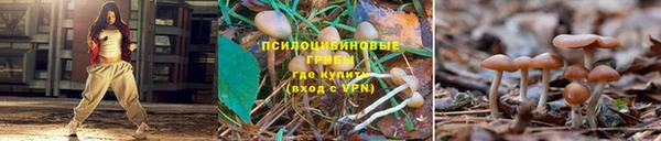 гашишное масло Аркадак