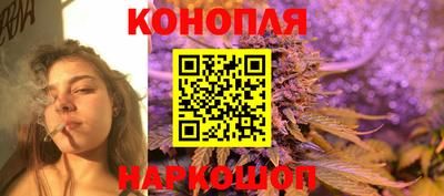 индика Владивосток