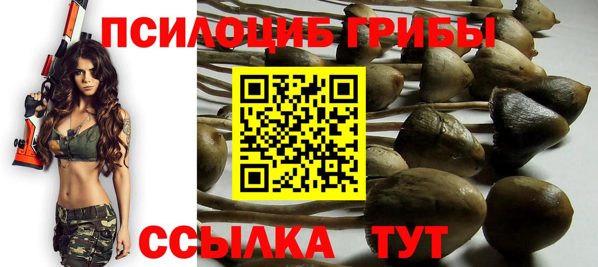 Псилоцибиновые грибы Psilocybine cubensis  Вход с VPN  Курганинск 